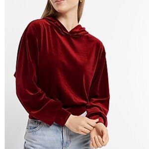 Express hoodie